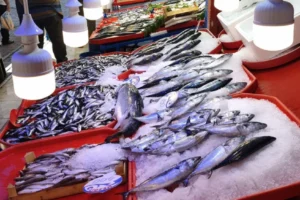 Tezgahlarda palamut bolluğu: Balık fiyatları ne kadar?