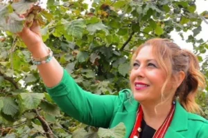 YENİ Partili Gezmiş'ten fındık alım fiyatına tepki: “Fındıktaki fiyat çöküşü, üreticinin bitişi demektir"