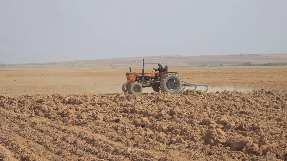 Kobani'de çiftçiler artan maliyetler karşısında 50 yıllık traktörlerle tarlaya çıkıyor