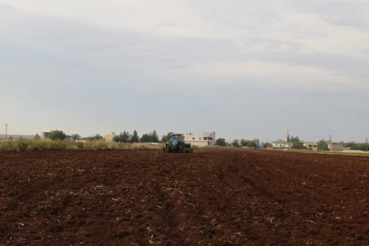 Diyarbakır'da çiftçiler kışlık ekime başladı, yükselen maliyetlerden yakındı