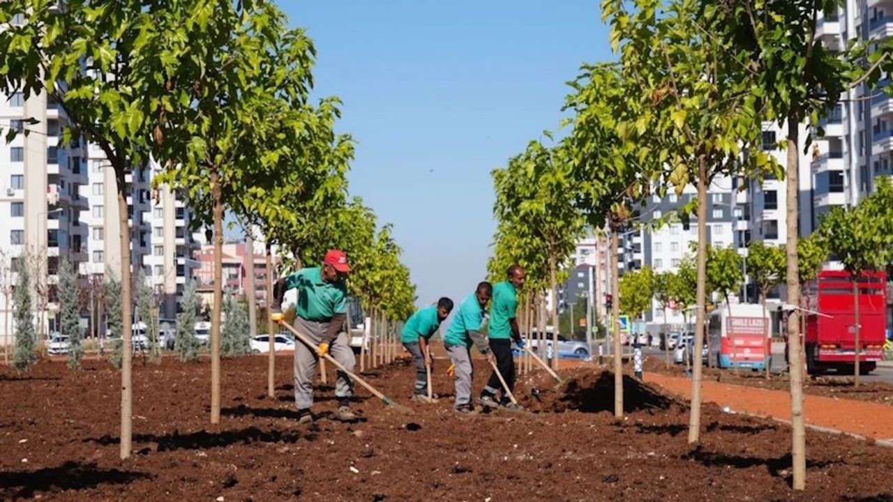 Diyarbakır'da üç ayda 9 bin 70 ağaç, 50 bin 200 çalı dikildi
