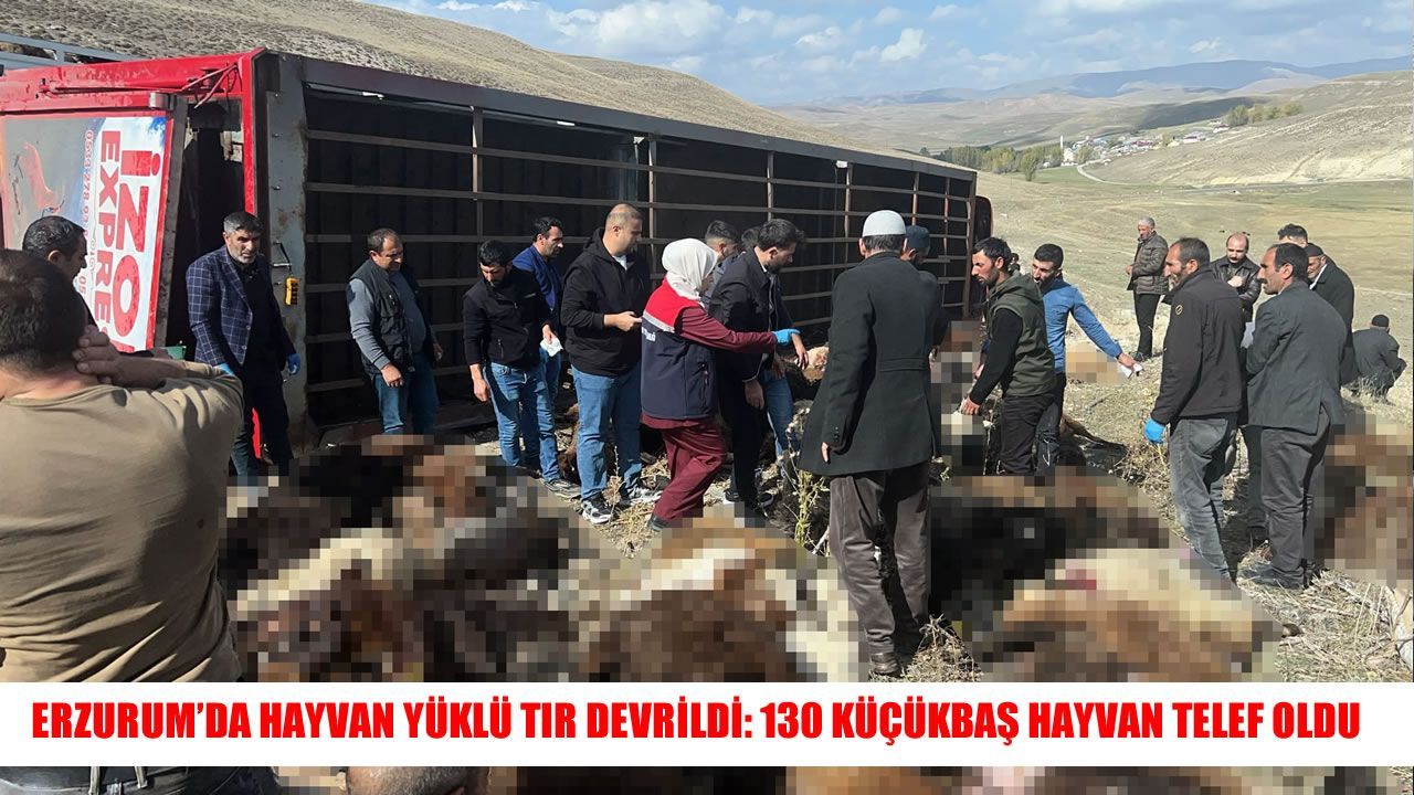 Erzurum’da feci kaza: 130 küçükbaş hayvan telef oldu